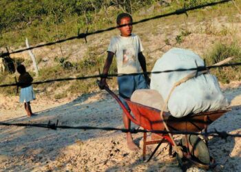 Lanzan campaña contra el trabajo infantil en Brasil