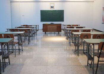 Muertes por clases presenciales serán culpa del gobierno: CNTE