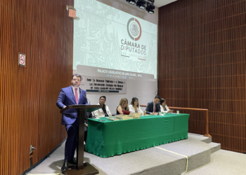 “A 10 años de la vigencia del IEPS, era preponderante hacer una evaluación y balance sobre su repercusión positiva o negativa en la sociedad mexicana”, planteó la diputada Málaga Domínguez.