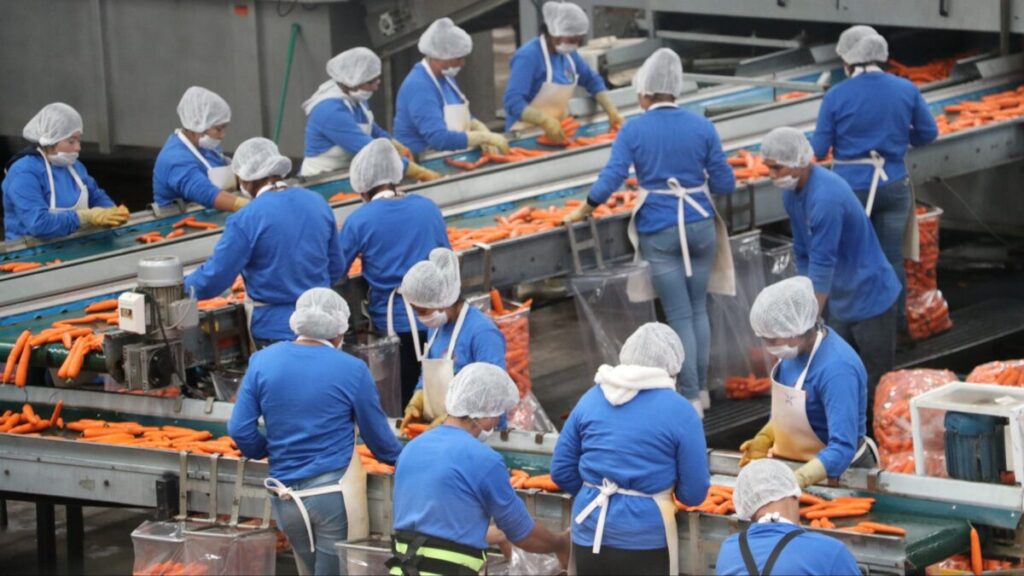 Trabajadores en México enfrentan falta de trabajo digno y seguridad social según informe del IMCO