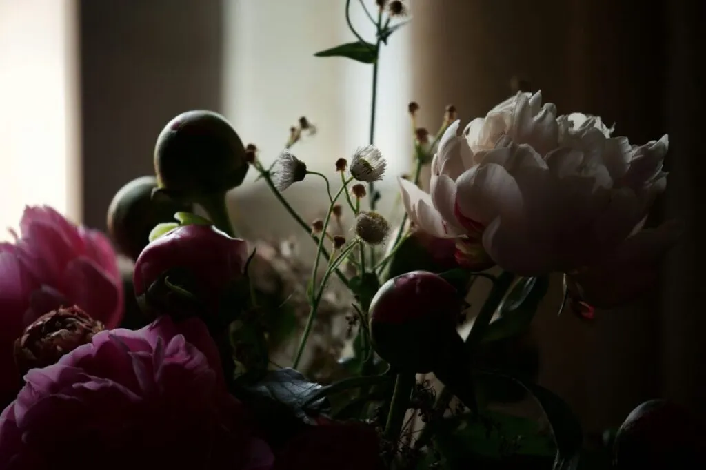 Sala de velación como parte del programa de velatorios gratuitos para trabajadores del IMSS en Chiapas