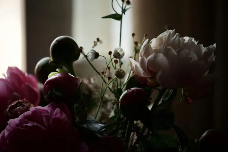 Sala de velación como parte del programa de velatorios gratuitos para trabajadores del IMSS en Chiapas