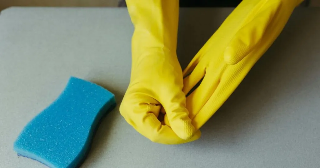 Tere Villegas Olvera, integrante de la agencia ‘Empleadas del Hogar’, ha sido acusada de presunto abuso de confianza, robo y extorsión.