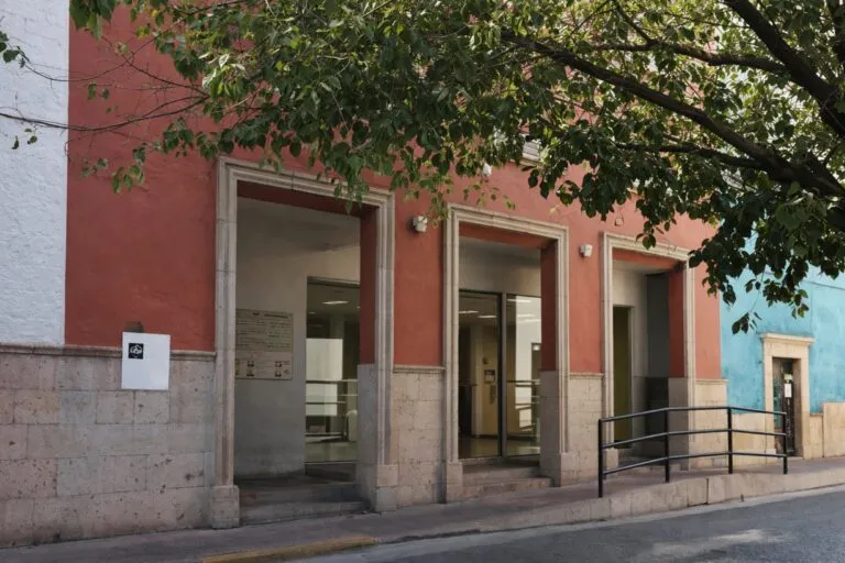 Mujeres de Parral participan en acciones comunitarias y movilizaciones del Instituto de la Mujer Parral por igualdad de género