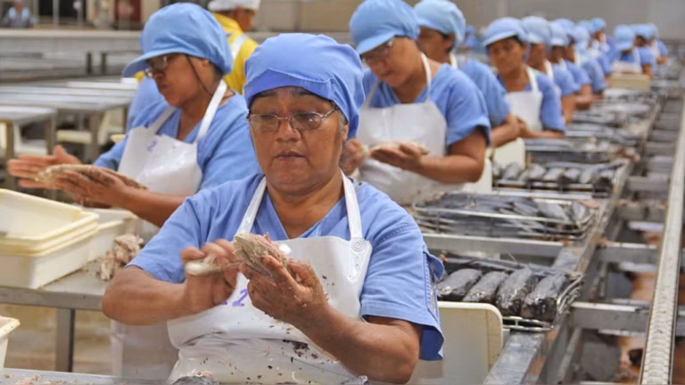 Trabajadores reunidos en asamblea sindical en Perú tras registro de 3 766 sindicatos en el sector privado