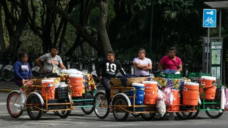 empleo informal en México con trabajadores en comercio ambulante y actividades laborales sin prestaciones