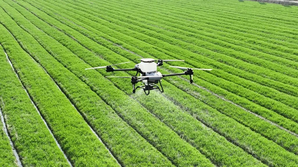 Dron agrícola sobre cultivos en Chiapas durante labores de modernización agrícola para mejorar la productividad.