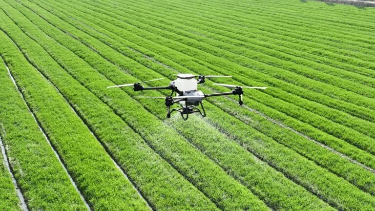 Dron agrícola sobre cultivos en Chiapas durante labores de modernización agrícola para mejorar la productividad.