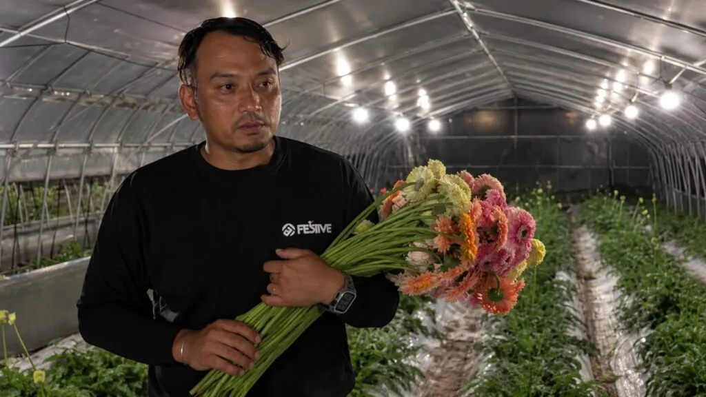 Agricultores japoneses trabajan durante la noche en un campo para reducir su exposición al calor extremo.